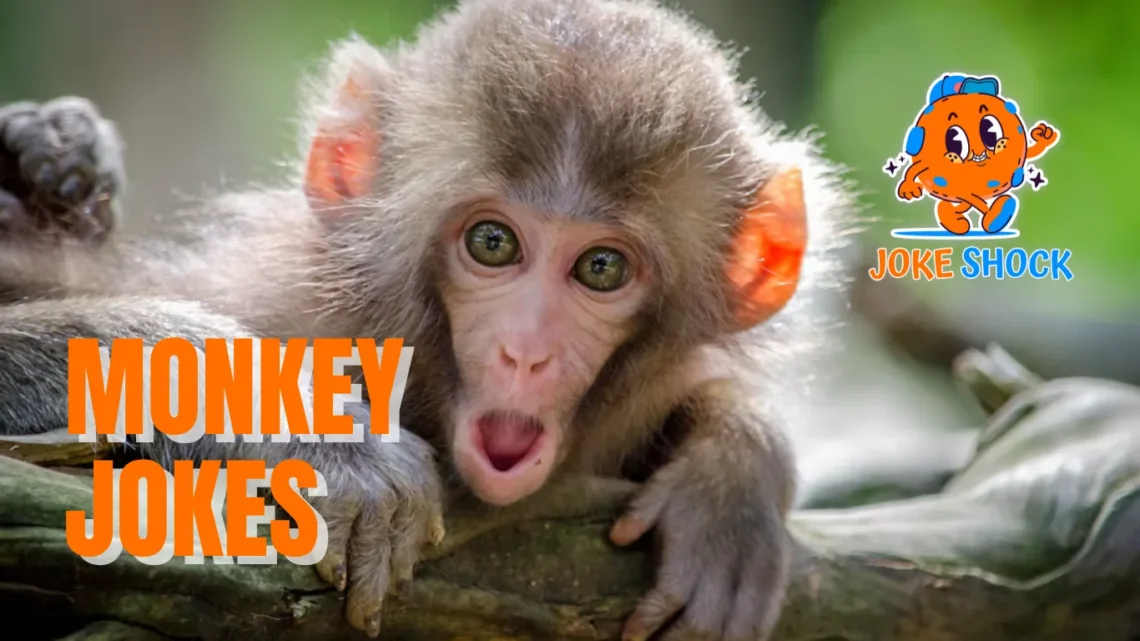 Monkey Jokes - Joke Shock