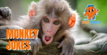 Monkey Jokes - Joke Shock
