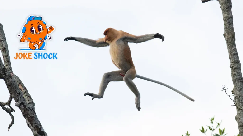 Monkey Jokes for Adults - Joke Shock